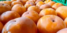 Stop trasporti causa ritardi e carenze in ortofrutta nei mercati