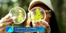 La ricerca del Cnr va in tv con &ldquo;Le Meraviglie del Possibile&rdquo;