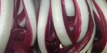 Consorzio Radicchio Treviso e Castelfranco Igp compie 30 anni