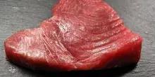Coldiretti: il 30-31 ottobre Cetara capitale europea tonno rosso