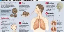 Vaccini e mascherine. Col virus dei ratti gi&agrave; riparte la giostra