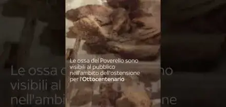 Assisi, ostensione delle spoglie di San Francesco