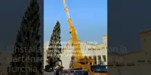 Vaticano, installato albero di Natale in Piazza San Pietro