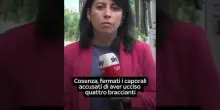 Migranti bruciati vivi in auto ad Amendolara, due fermi per omicidio. Le immagini dell'aggressione
