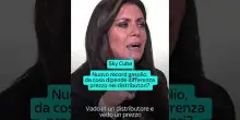 Nuovo record del gasolio, da che cosa dipende la differenza di prezzo tra distributori? - Sky Cube