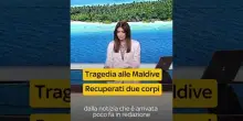 + ULTIM'ORA + Maldive, recuperati corpi dei sub italiani Gualtieri e Montefalcone