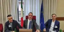 Cicalone in Parlamento (in audizione)