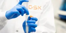 La biotech Nuvalent vola a Wall Street: +40% dopo l&rsquo;opa da 10,6 miliardi di dollari lanciata da Gsk
