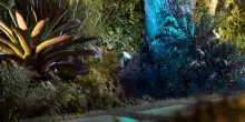 Philips Hue colora di luce anche i giardini
