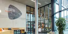 Zalando sotto indagine BaFin, il titolo scivola dopo i dubbi sul bilancio 2025