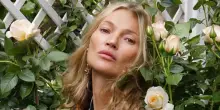 Peter Beales svela la rosa dedicata a Kate Moss al Chelsea flower show