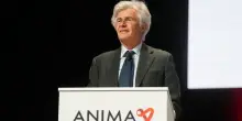 Anima, balzo dei ricavi grazie al +80% delle commissioni di incentivo. Il titolo vola in borsa