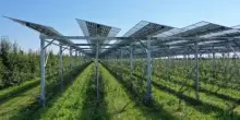 Rinnovabili, L&B Capital (Gruppo Bancario Ifigest) compra progetto agrivoltaico da 90 Mw a Foggia