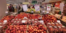 Gdo, un super...mercato con un occhio verso la quotazione in borsa
