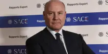 Bonifiche Ferraresi vuole entrare nel mondo della grande distribuzione: gli obiettivi sono NaturaS&igrave; e Carapelli