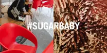 Sugar.it celebra il primo decennio di attivit&agrave;