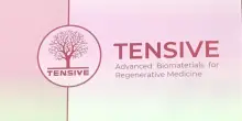 Medtech, Tensive ottiene 20 milioni di venture debt dalla Bei per protesi al seno all&rsquo;avanguardia