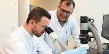 Red Queen Bio, la startup che usa l'AI per contrastare una futura pandemia causata dall'intelligenza artificiale