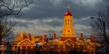 Harvard investe nell&rsquo;Etf Bitcoin di BlackRock 442,8 milioni di dollari. E per ora &egrave; in perdita