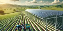 Rinnovabili, Verdian accelera in Italia e compra un portafoglio agrivoltaico da 117 Mw in Sicilia