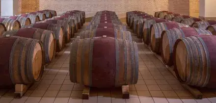 Vino italiano sotto pressione negli Usa: un produttore su tre ha ridotto i prezzi nel 2025