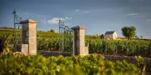 Dopo stelle e chiavi, arrivano i grappoli Michelin: guida ai produttori, non ai vini. Ma una domanda sorge spontanea&hellip;