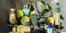 Il segreto meglio custodito del Mediterraneo: perch&eacute; il bergamotto &egrave; l&rsquo;ingrediente che sta conquistando profumi, viaggi e desideri