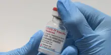 Moderna, una fuga di notizie fa crollare le azioni in borsa: cosa succede al colosso Usa del pharma