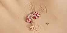 180 creazioni ispirate ai faraoni: la collezione di Van Cleef & Arpels &egrave; la pi&ugrave; misteriosa dell&rsquo;anno
