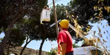 Fibercop, l&rsquo;Agcom dice no al listino prezzi: servono modifiche sostanziali. Ecco quali sono alcuni dei punti critici