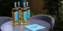 La pi&ugrave; antica distilleria italiana &egrave; anche agile e versatile. Cos&igrave;, dopo Acqua di Cedro e Garage Gin, Grappa Nardini lancia il liquore al sambuco Hylde