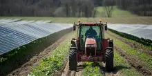 Il ruolo delle Regioni per l&rsquo;autosufficienza energetica dell&rsquo;Italia. Le opportunit&agrave; dell&rsquo;agrivoltaico
