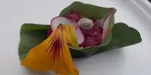 Fiori nei piatti e nei cocktail: ad Alassio la cucina floreale diventa spettacolo