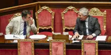 Elezioni, Salvini apre al voto anticipato. Tajani rassicura sulla durata della legislatura mentre Crosetto resta neutrale