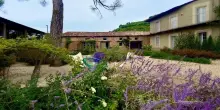 Nelle Langhe c&rsquo;&egrave; un relais circondato da campi di lavanda che sembrano la Provenza