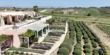 La Sicilia dei Planeta va da Palermo all&rsquo;Etna, dalle vigne alla spiaggia, ma al centro c&rsquo;&egrave; un giardino mediterraneo...