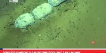 Scoperto cimitero di balene con fossili di 5,3 mln di anni