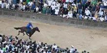 Palio di Siena dell'Assunta 2026, vince la Contrada del Nicchio