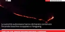 Corea del Sud, domato incendio boschivo a Yangyang