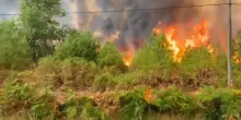 Incendi, migliaia di persone evacuate in Spagna e in Francia