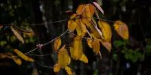 Equinozio d'autunno: cos'&egrave; e quando cade