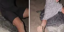 Turisti cavalcano tartarughe in Oman per foto: multa di soli 200 euro