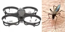 Un drone a sonar per dare la caccia alle zanzare: come funziona
