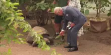 Carlo e Camilla allo Zoo di Londra per i 200 anni della ZSL