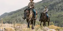 Marshals, lo spin-off di Yellowstone rinnovato per la seconda stagione