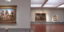 Gallerie degli Uffizi, nuovo allestimento per Venere e Primavera