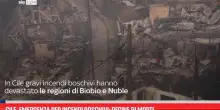 Cile, emergenza per incendi boschivi: decine di morti