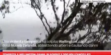 Tempesta a Wellington: danni, blackout e 200 voli cancellati