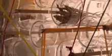 Al Museo della Scienza la Notte Europea dei Ricercatori