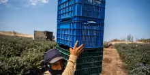 El Ni&ntilde;o, l'Oit lancia l'allarme occupazione in America Latina